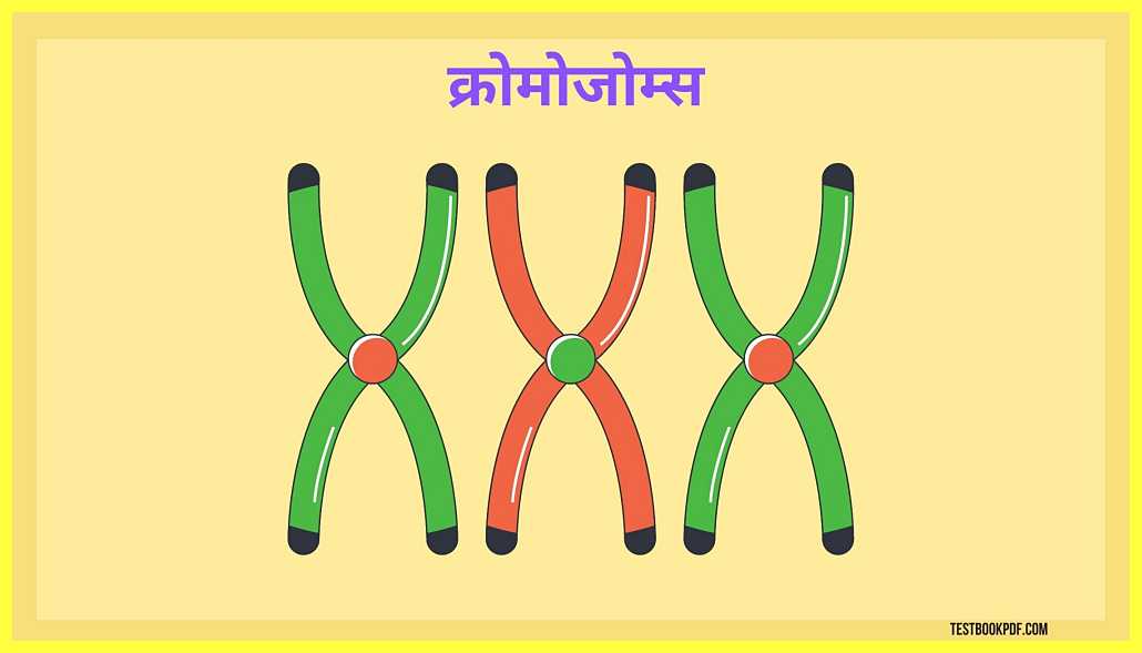 Dna-Test-Kaise-Hota-Hai-In-Hindi-डीएनए-टेस्ट-कैसे-होता-है