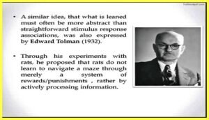 Edward-Tolman-psychology