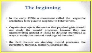 The-Beginning