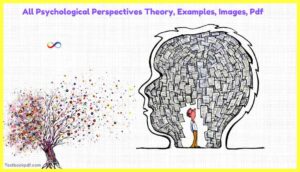 All-Psychological-Perspectives-Theory-Examples-Images-Pdf