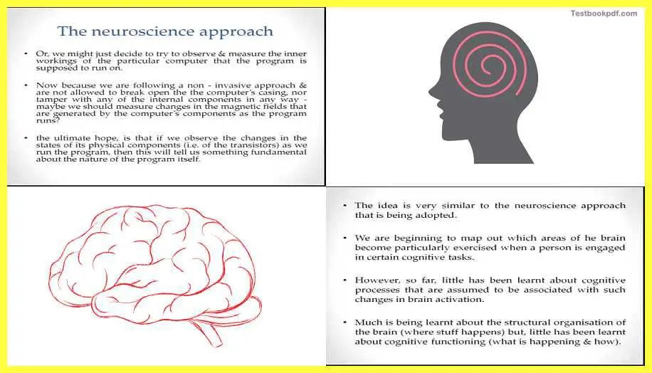 Neuroscience-Approach-Towards-Cognitive-Psychology