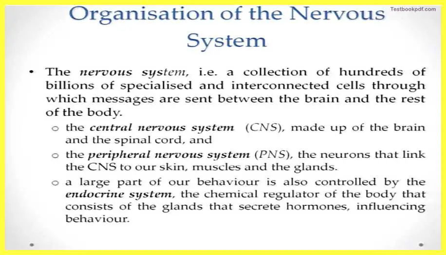 Basic-Concepts-in-Cognitive-Neuroscience-Pdf-Download