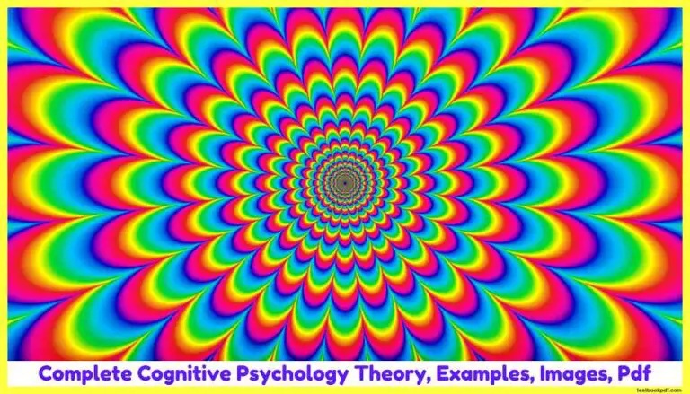 Complete-Cognitive-Psychology-Theory-Examples-Images-Pdf