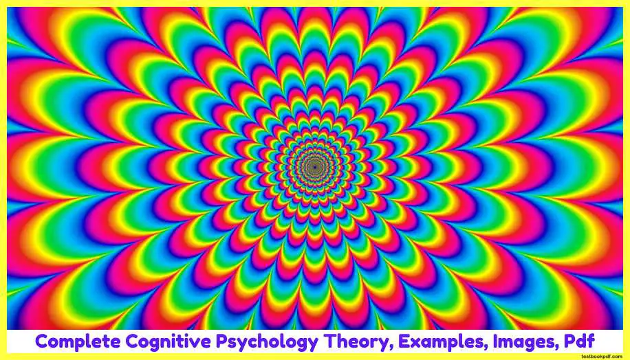 Complete-Cognitive-Psychology-Theory-Examples-Images-Pdf