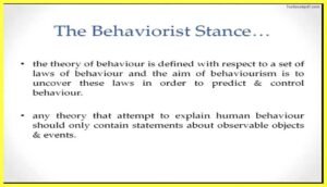 Foundational-Assumptions-of-Cognitive-Psychology
