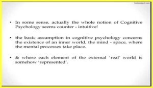 Foundational-Assumptions-of-Cognitive-Psychology