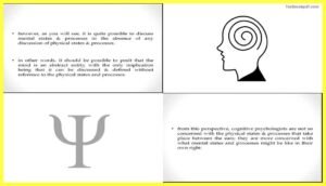 Foundational-Assumptions-of-Cognitive-Psychology
