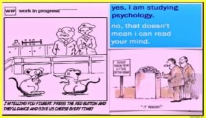 Introduction-to-Cognitive-Psychology-Theory-Example-Images