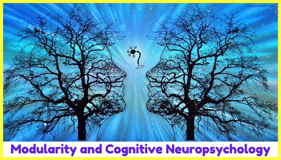 Modularity-and-Cognitive-Neuropsychology