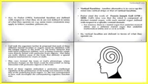 Modularity-and-Cognitive-Neuropsychology