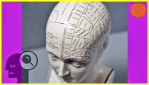 Modularity-and-Cognitive-Neuropsychology