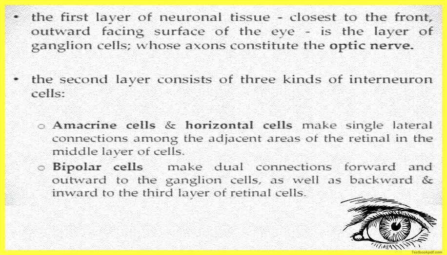 Physiology-of-Visual-Perception