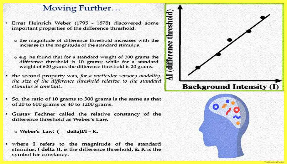 Gustav-Fechner-Psychophysics-Measuring-Sensation-Pdf