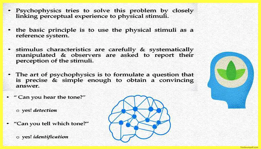 Psychophysics-Measuring-Sensation-Pdf