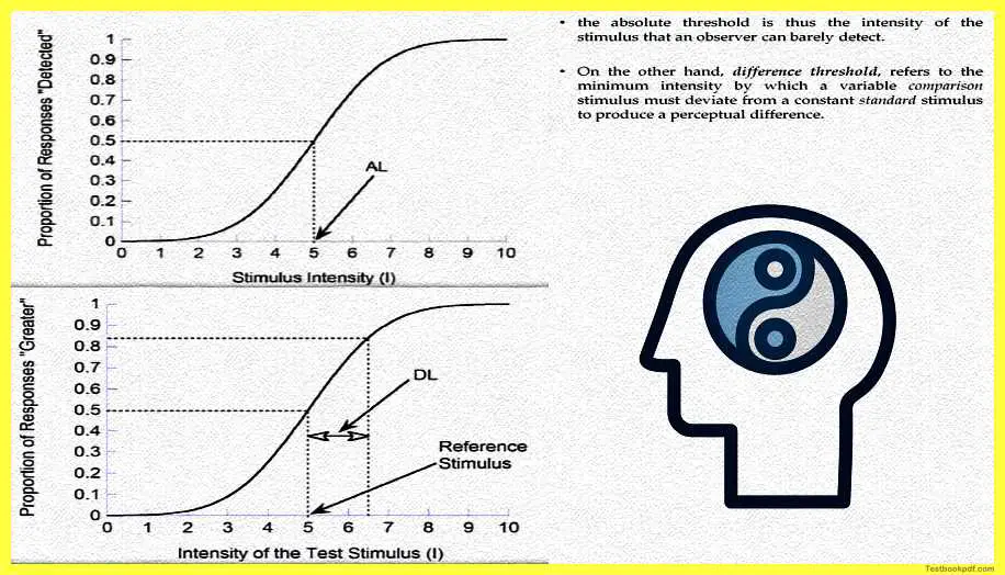 Psychophysics-Measuring-Sensation-Pdf