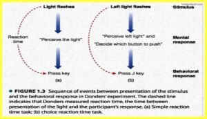 Research-Methods-in-Cognitive-Psychology