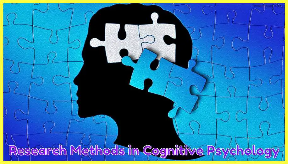 Research-Methods-in-Cognitive-Psychology-Pdf-PET-fMRI-ERP