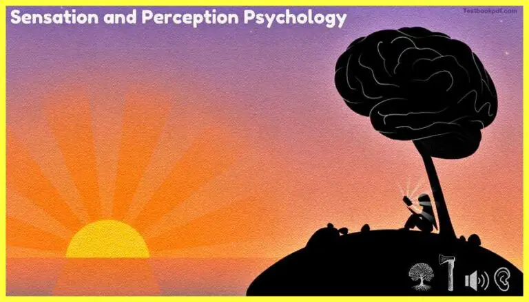 Sensation-and-Perception-Psychology-Pdf