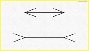 Sensation and Perception Psychology Pdf 2