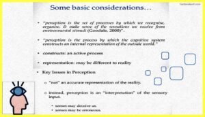 Sensation-and-Perception-Psychology-Pdf