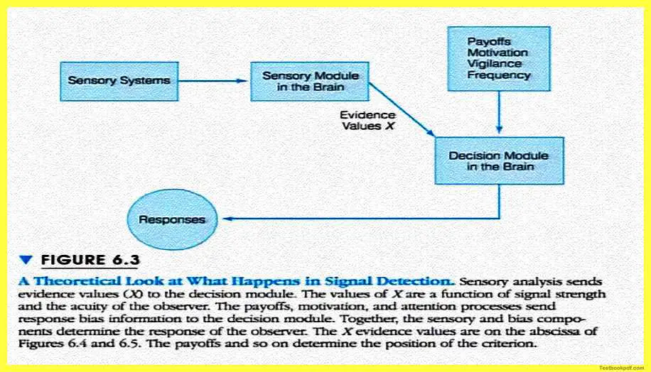 Signal-Detection-Theory-Psychology-Pdf