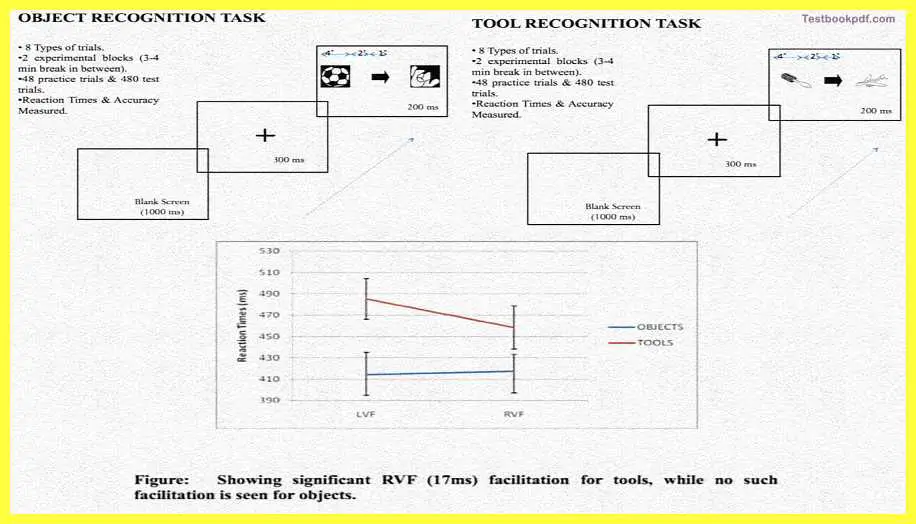 Object-Recognition-Task-Tool-Recognition-The-Cerebral-Cortex-Psychology-Theory-Images-Pdf-Download