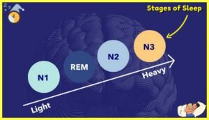 Stages-of-sleep-testbookpdf