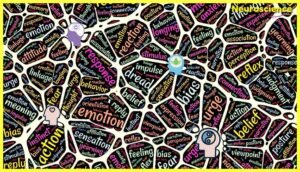 Neuroscience-Psychology-testbookpdf
