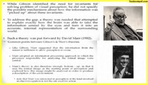 Approaches-To-Visual-Perception-David-Marr-Theory