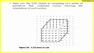 Approaches-to-Visual-Perception