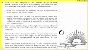 Approaches-to-Visual-Perception