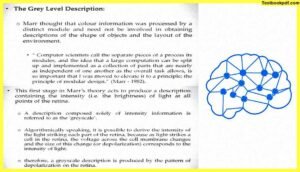 Approaches-to-Visual-Perception