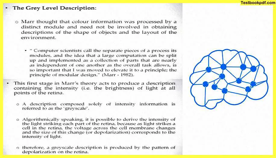 Approaches-To-Visual-Perception