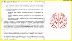 Approaches-to-Visual-Perception