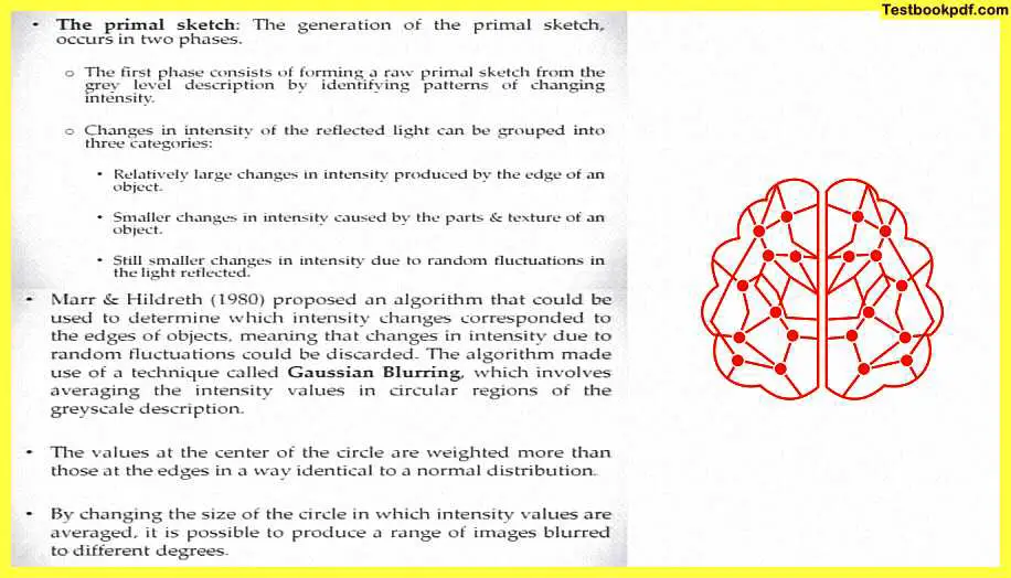 Approaches-To-Visual-Perception