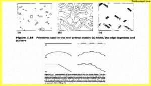 Approaches-to-Visual-Perception