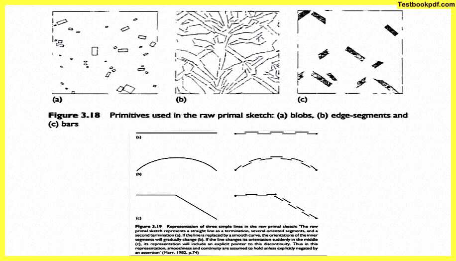 Approaches-To-Visual-Perception