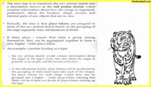 Approaches-to-Visual-Perception