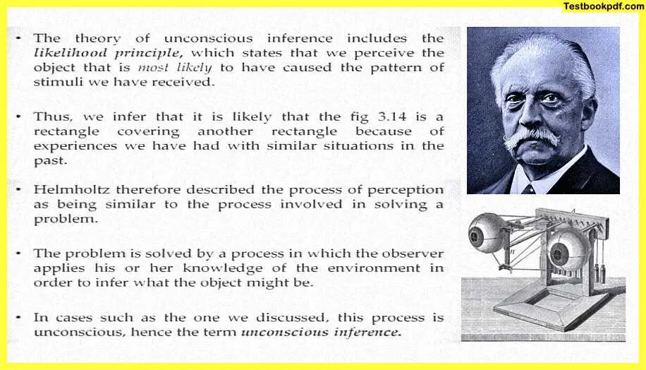 likelihood-principle-Approaches-to-Visual-Perception