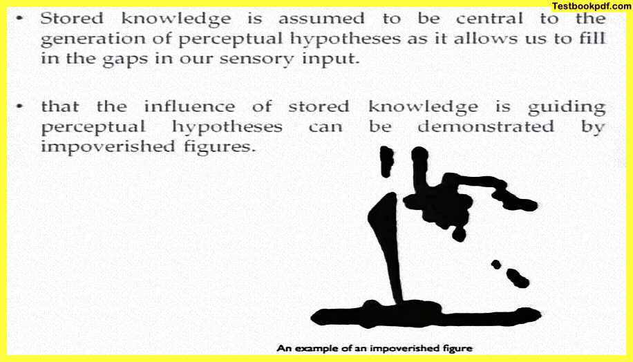 ship-Approaches-to-Visual-Perception