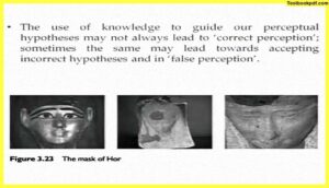 correct-perception-Approaches-to-Visual-Perception