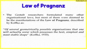 law-of-Pragnanz-Approaches-to-Visual-Perception
