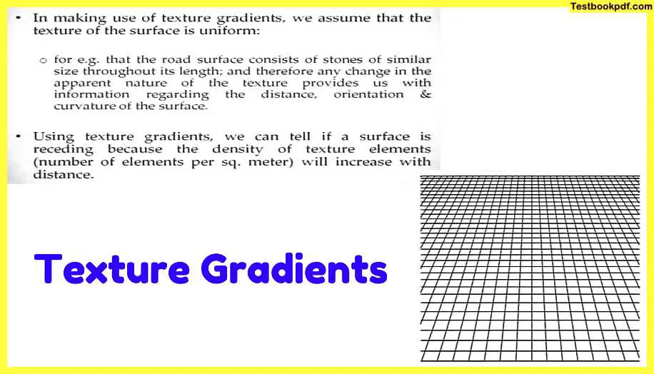 Approaches-to-Visual-Perception