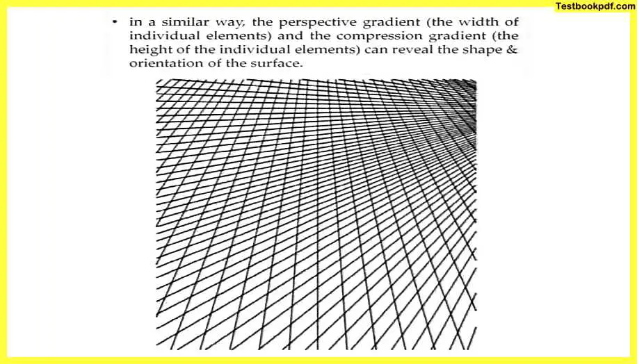 Approaches-to-Visual-Perception