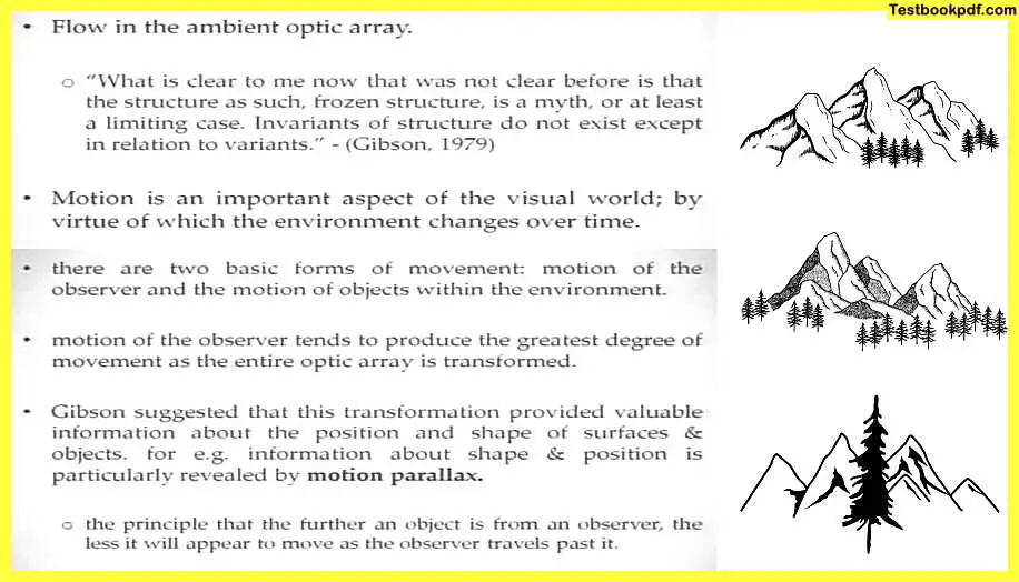 Approaches-to-Visual-Perception