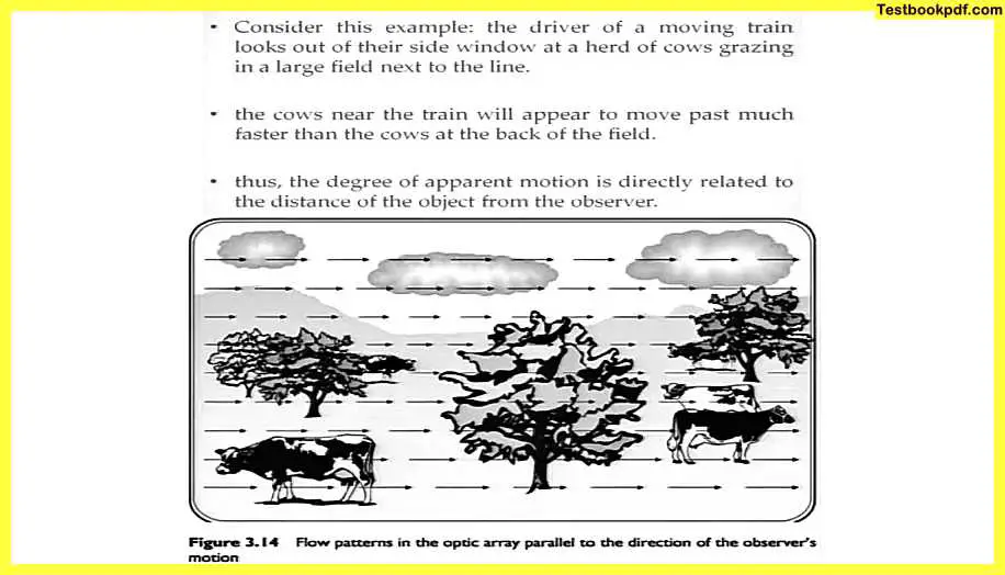 Approaches-to-Visual-Perception