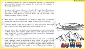Approaches-to-Visual-Perception