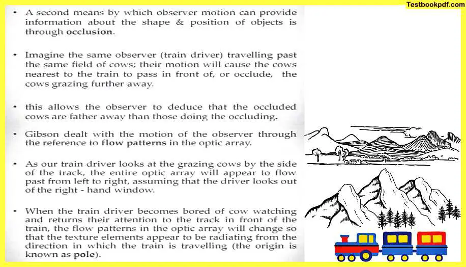 Approaches-to-Visual-Perception