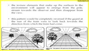 Approaches-to-Visual-Perception