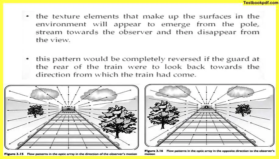 Approaches-to-Visual-Perception